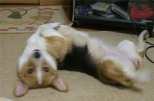 �����܂������ȂЂ܂��